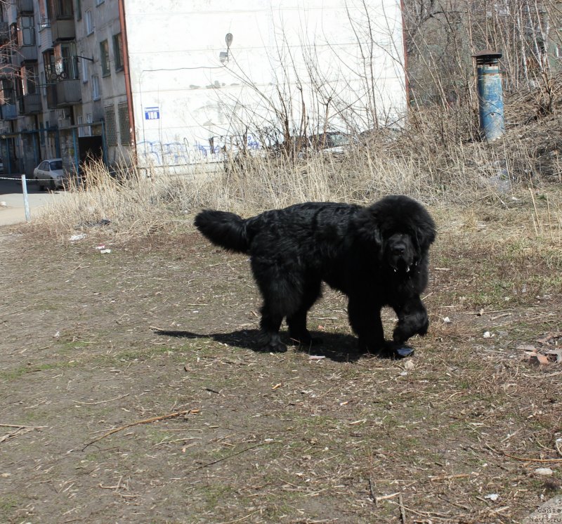 Фотография № 123075