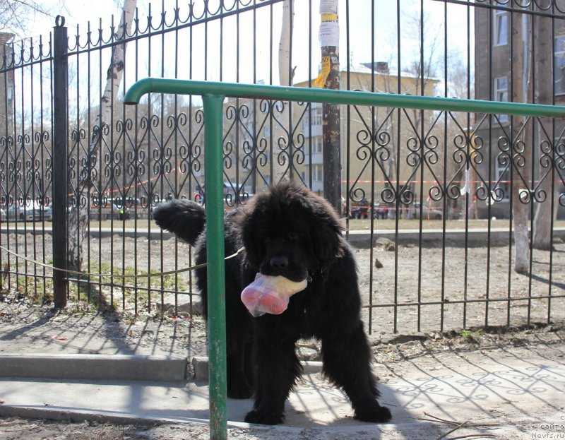 Фотография № 123076