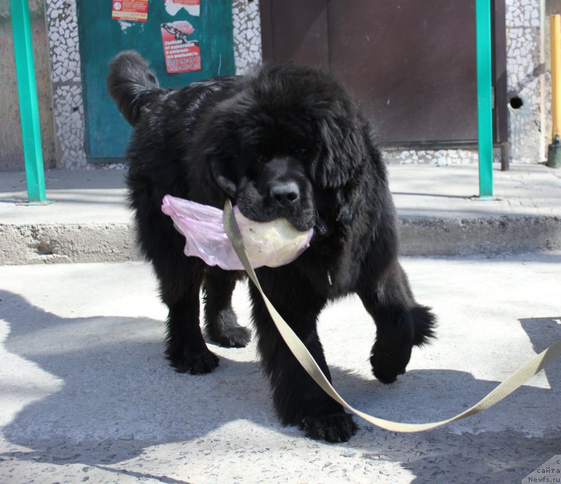 Фотография № 123077