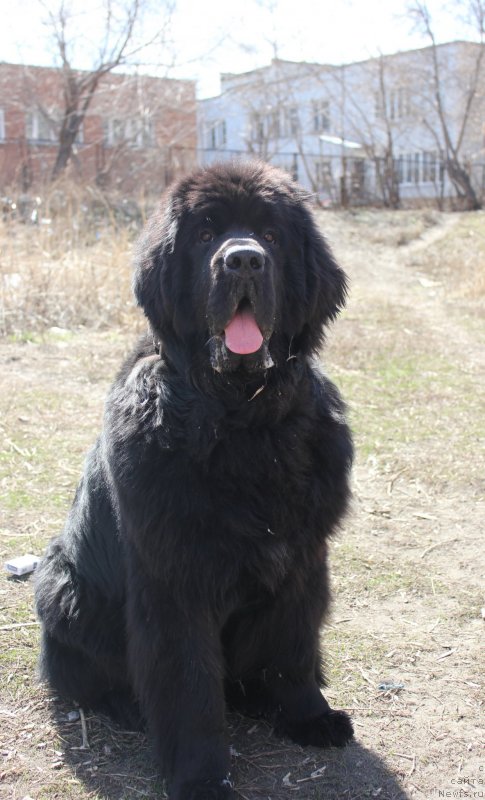 Фотография № 123078