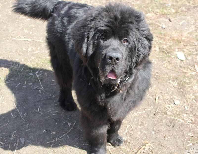 Фотография № 123079