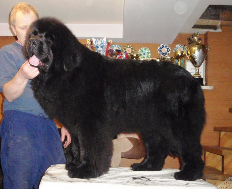 Фотография № 123082