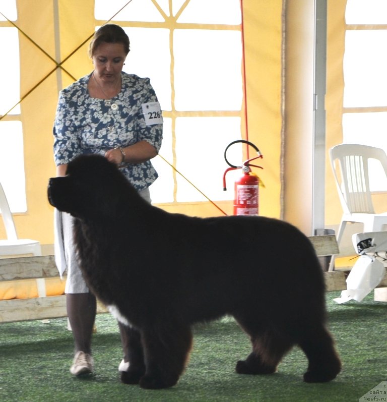 Фотография № 123107