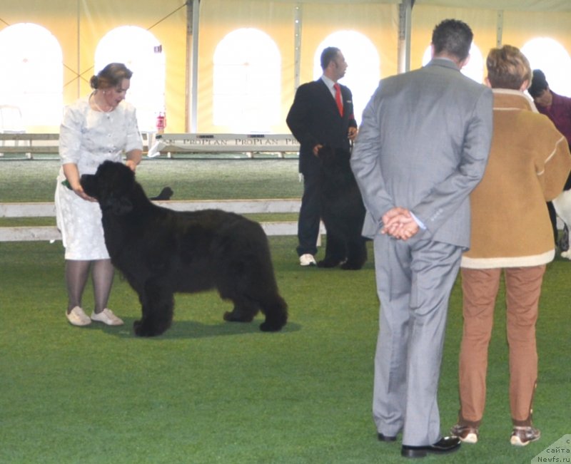 Фотография № 123111