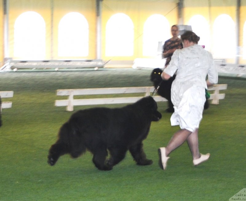 Фотография № 123113