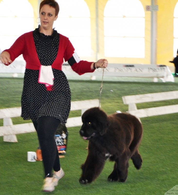 Фотография № 123115