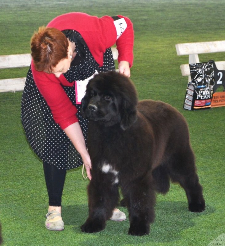 Фотография № 123116