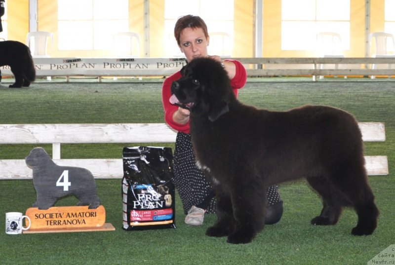 Фотография № 123117