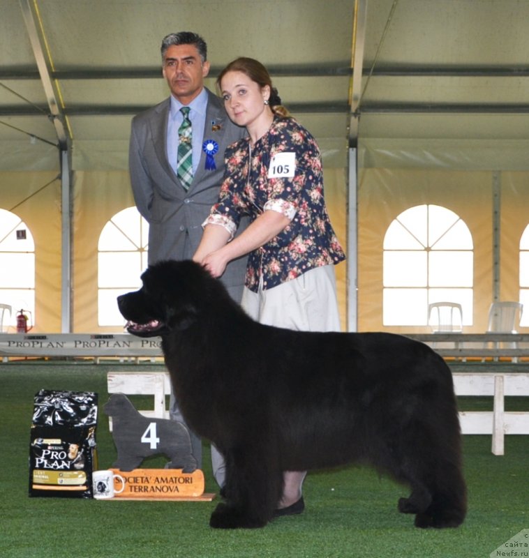 Фотография № 123121