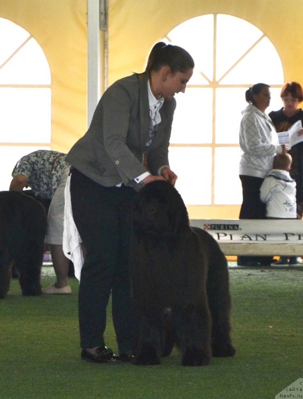 Фотография № 123123