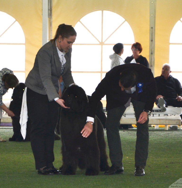 Фотография № 123124