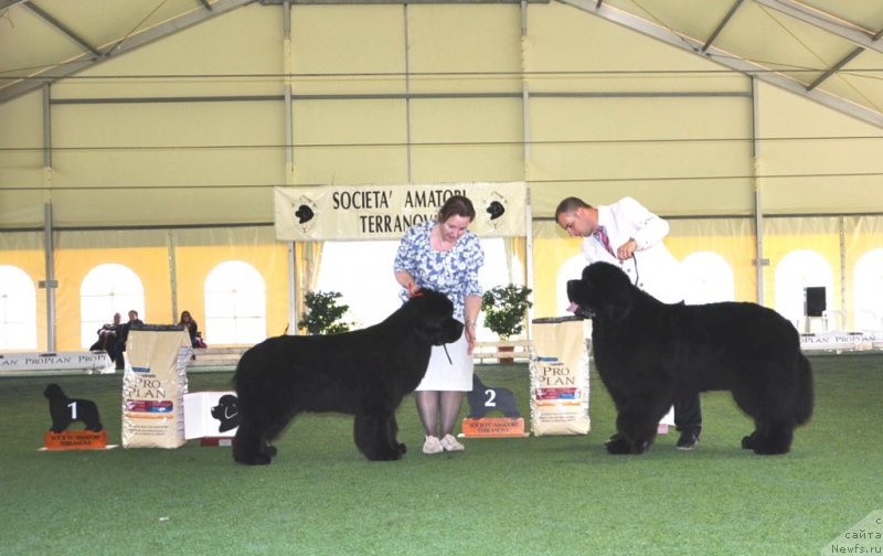 Фотография № 123134