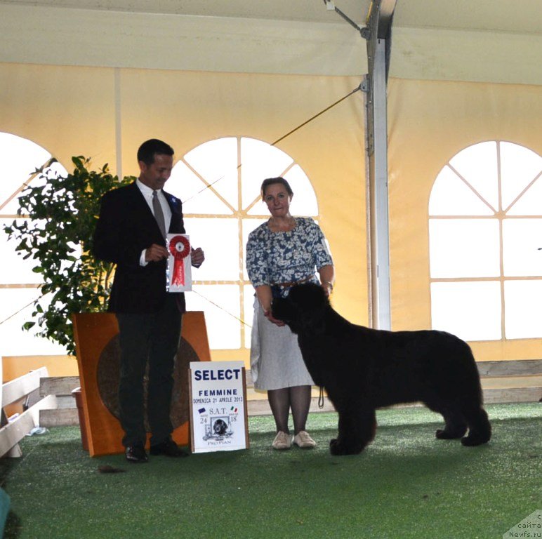 Фотография № 123140