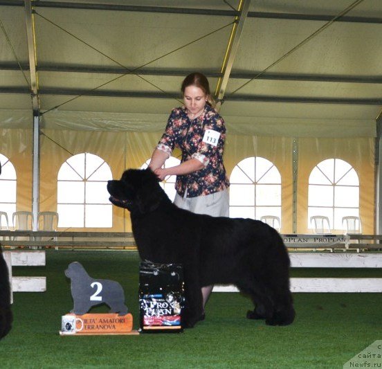 Фотография № 123141