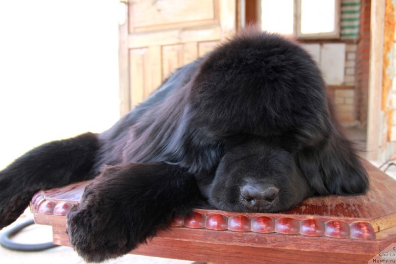 Фотография № 123146