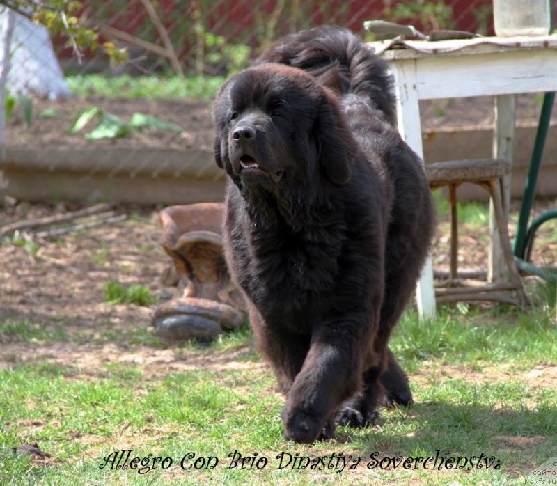 Фотография № 123148