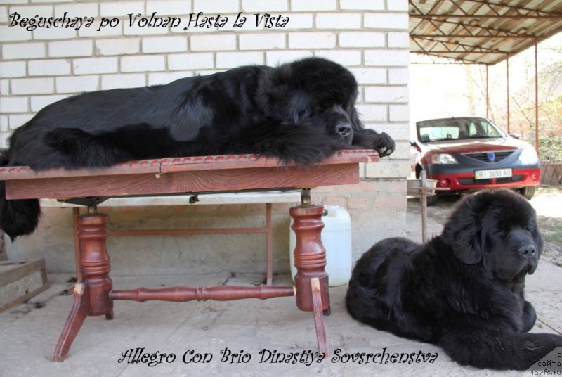 Фотография № 123150