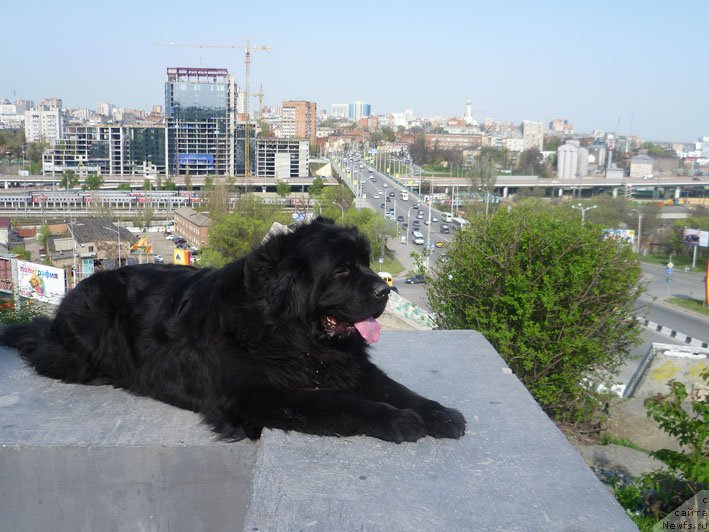 Фотография № 123220