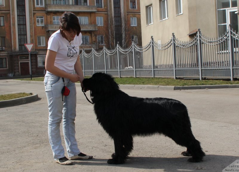 Фотография № 123256