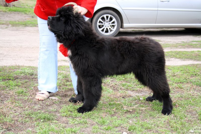 Фотография № 123258