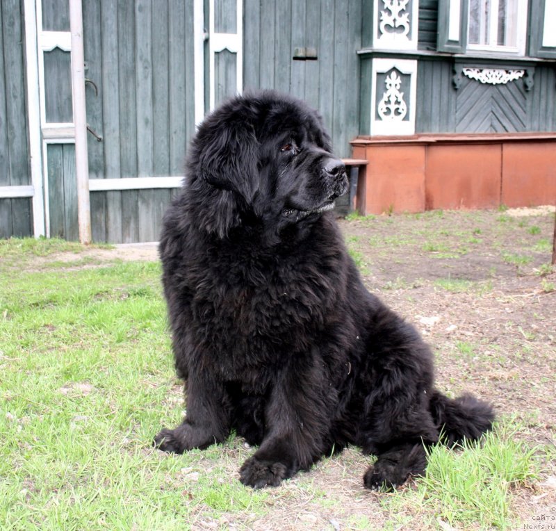 Фотография № 123259