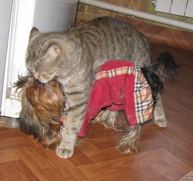 Фотография № 123261