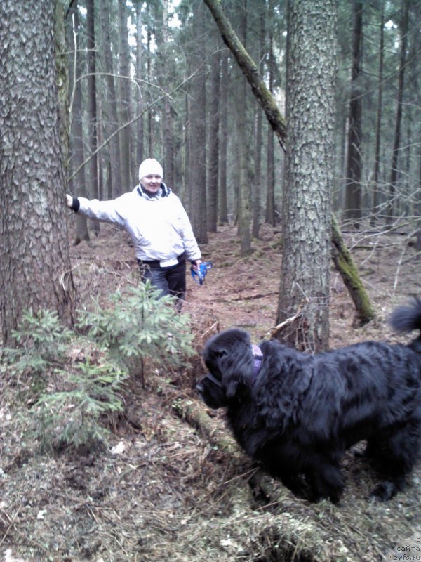 Фото: [d8917] p1525