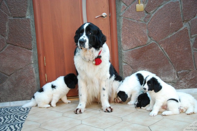 Фотография № 123340