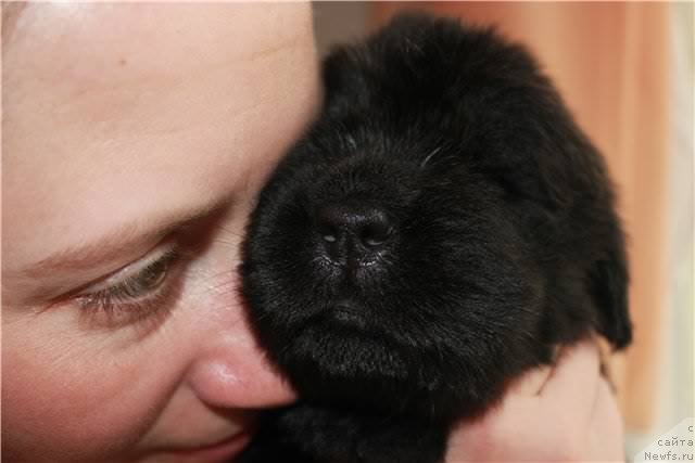 Фото: Natal'ya Selezneva (Наталья Селезнева)