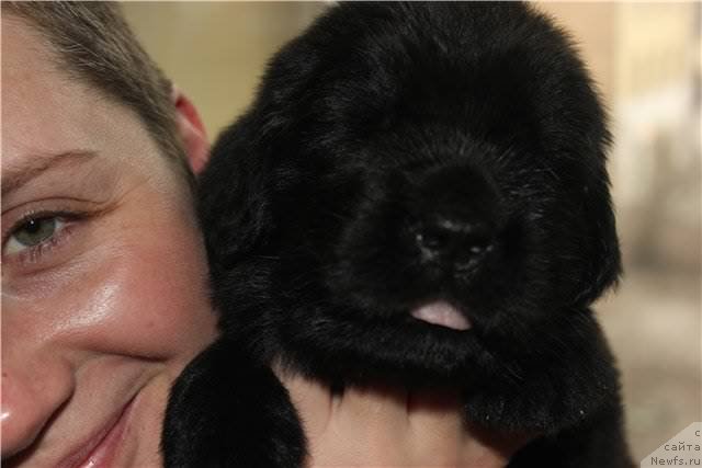 Фото: Natal'ya Selezneva (Наталья Селезнева)