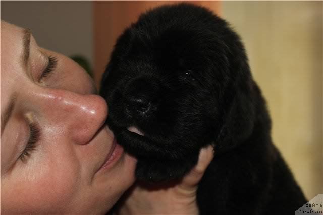 Фото: Natal'ya Selezneva (Наталья Селезнева)