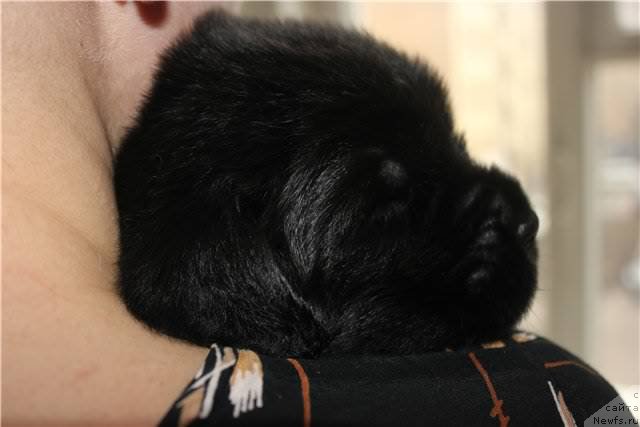 Фото: Natal'ya Selezneva (Наталья Селезнева)