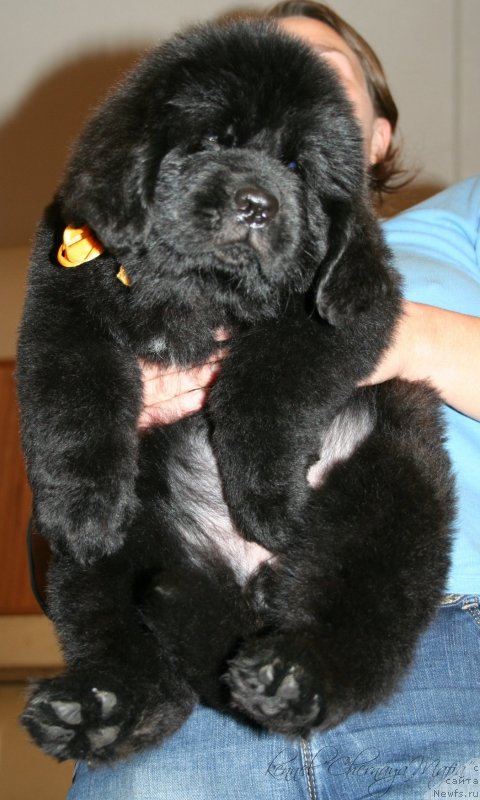 Фотография № 123366