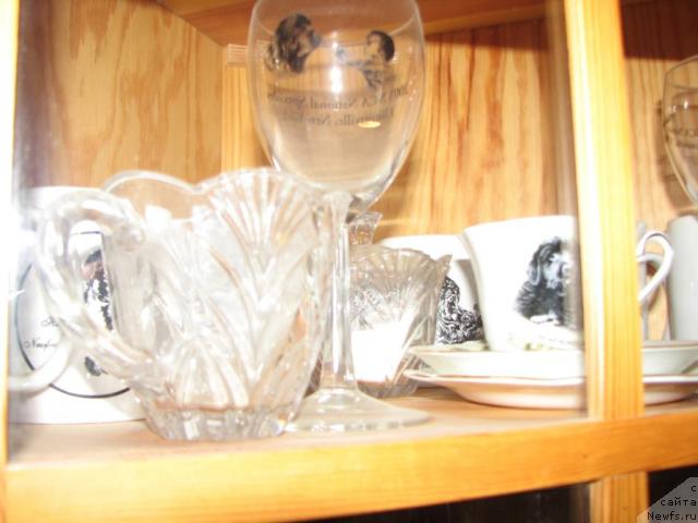 Фотография № 12349