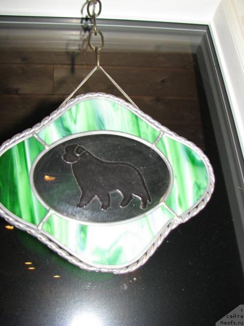 Фотография № 12351