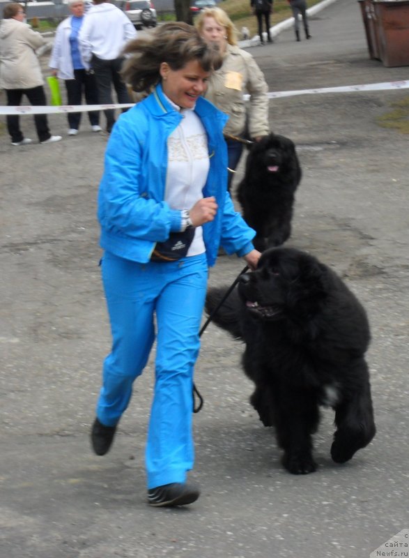 Фотография № 123521