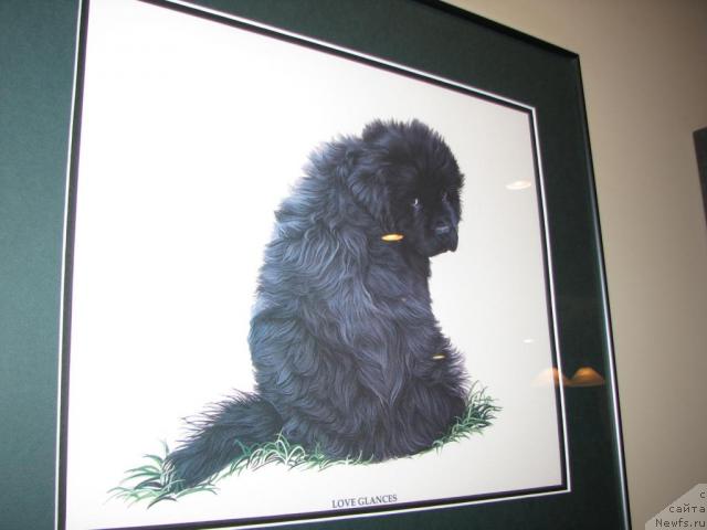 Фотография № 12353