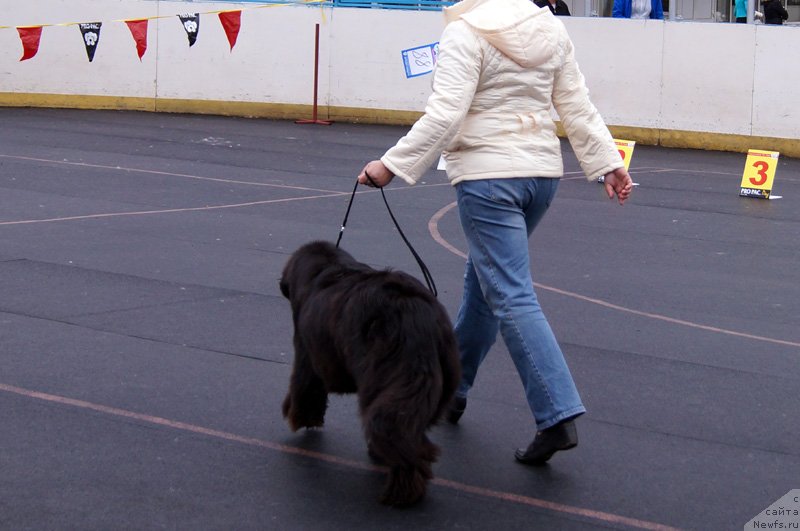 Фотография № 123530