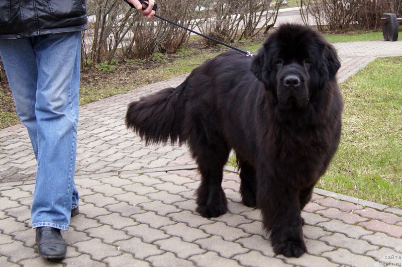 Фотография № 123531