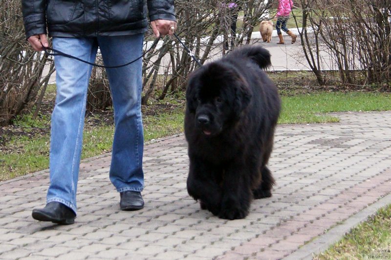 Фотография № 123534