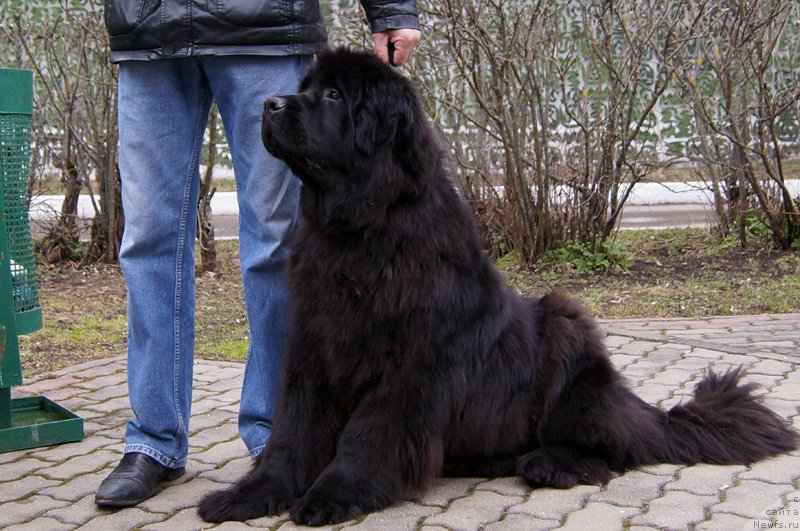 Фотография № 123535