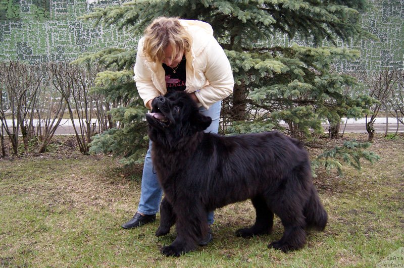 Фотография № 123566