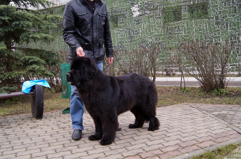 Фотография № 123568