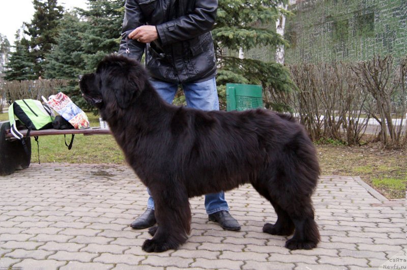 Фотография № 123570