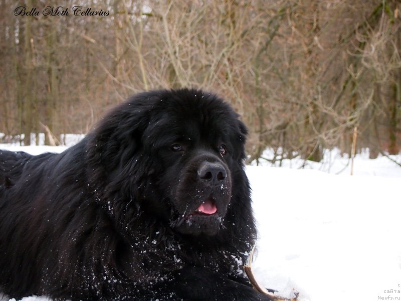 Фотография № 123589