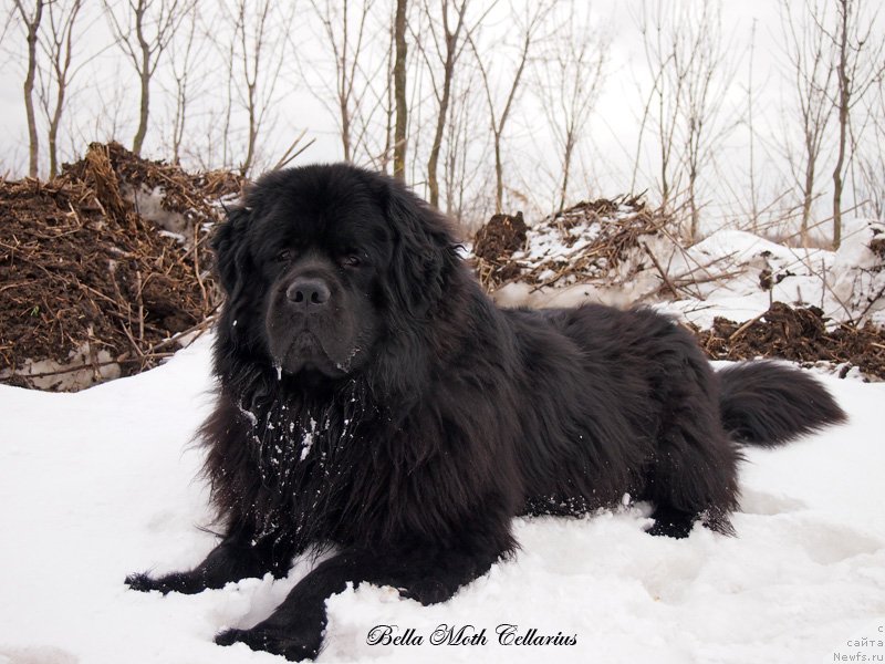 Фотография № 123591