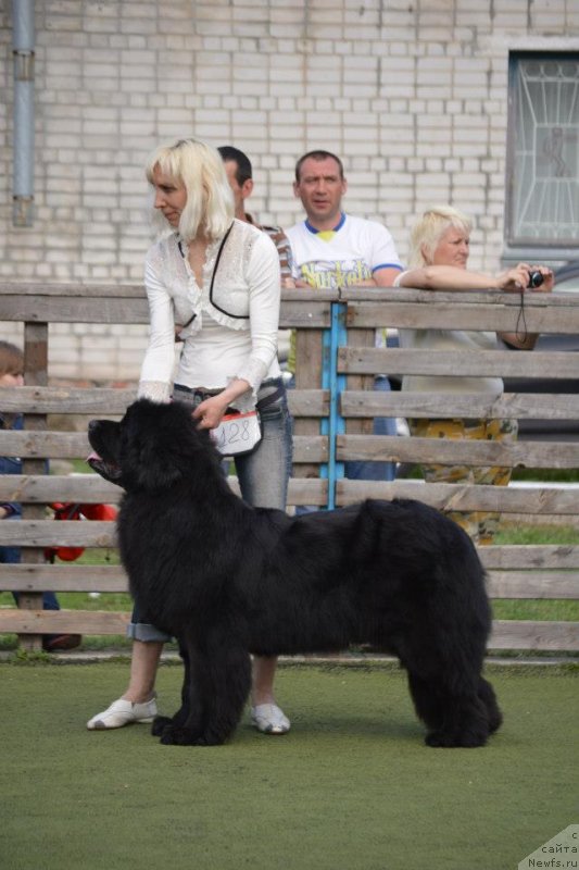 Фотография № 123688