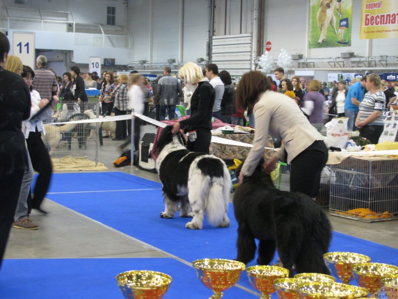 Фотография № 123705