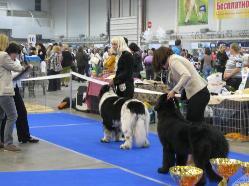 Фотография № 123713