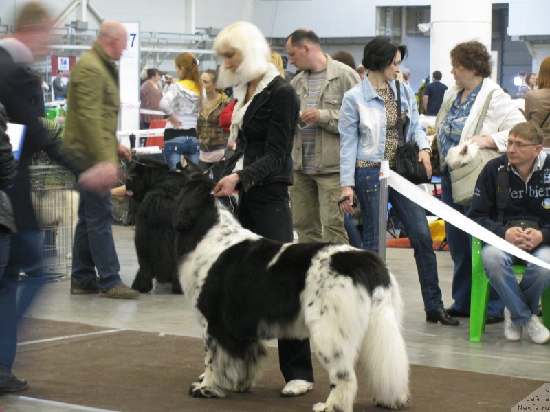 Фотография № 123723